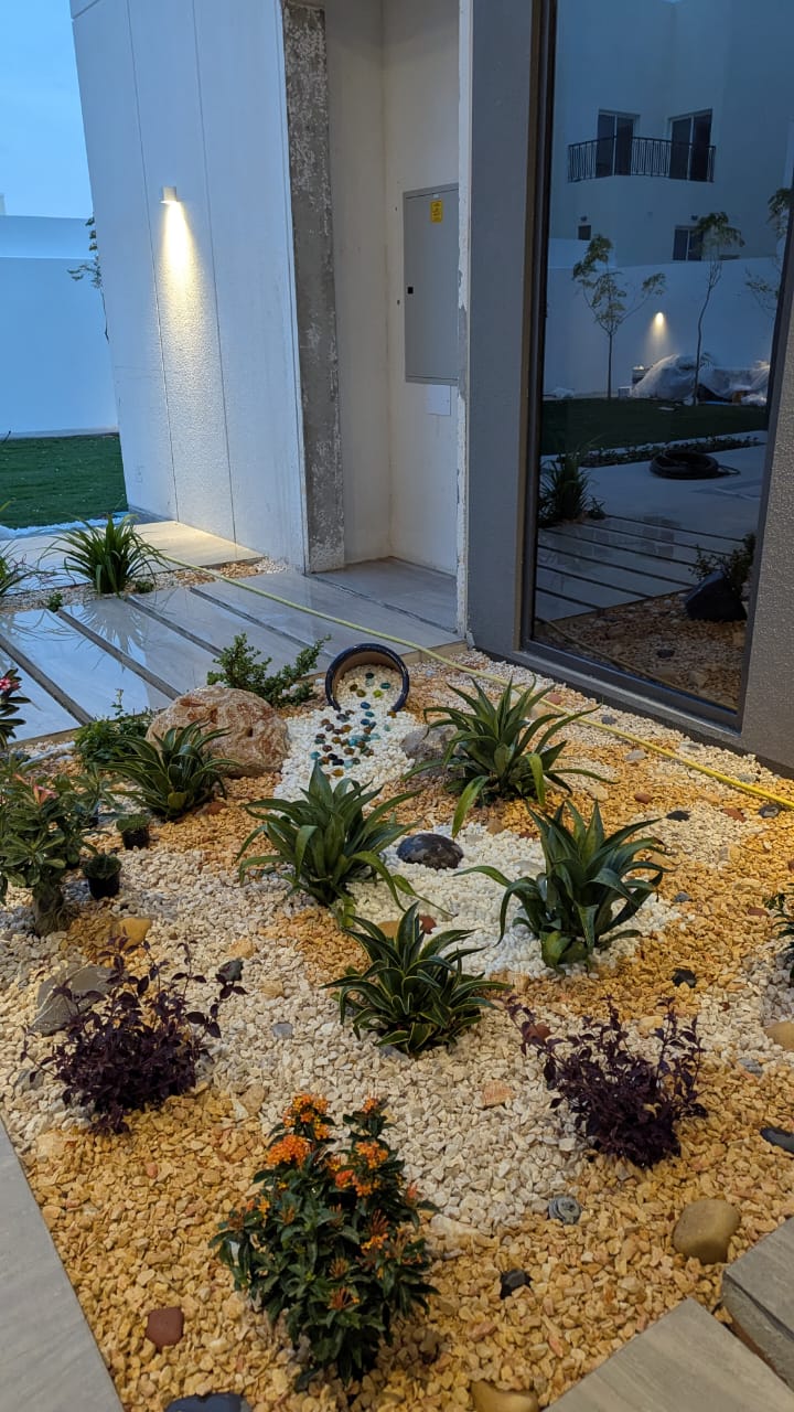 Plant Renovation - After Cleanup