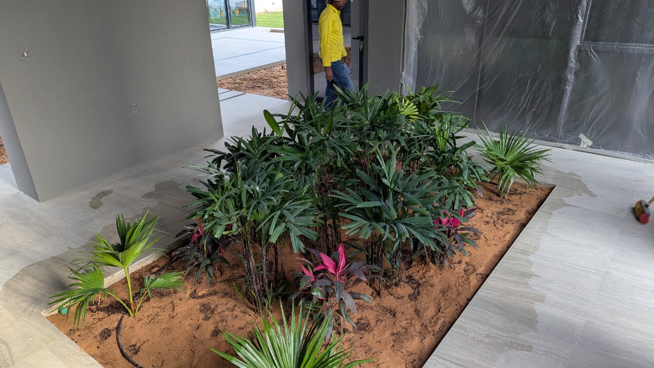 Plant Renovation - Final Result