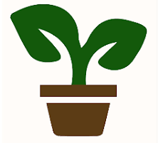 Plantssouq